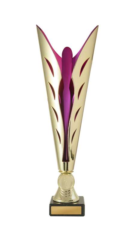 Celebrate Every Moment with Dance Trophies